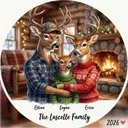 Deer / Elk